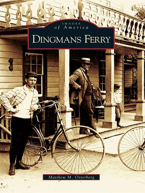 Book cover of Dingmans Ferry