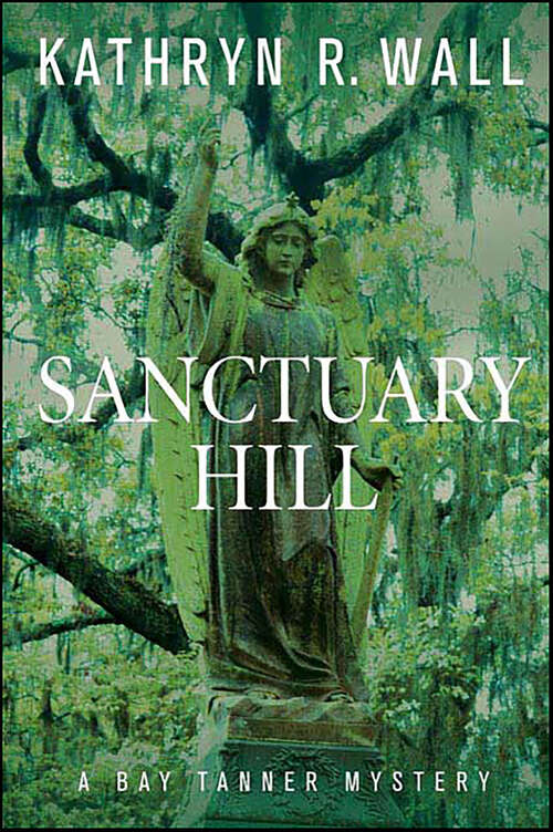 Book cover of Sanctuary Hill: A Bay Tanner Mystery (Bay Tanner Mysteries)