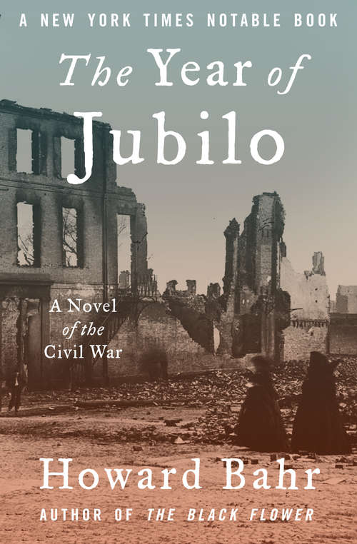Book cover of The Year of Jubilo: A Novel of the Civil War