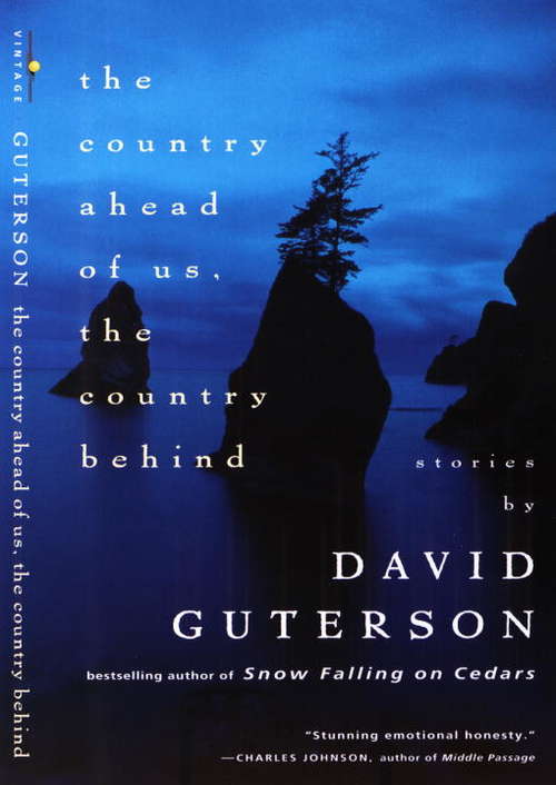 Book cover of The Country Ahead of Us, The Country Behind