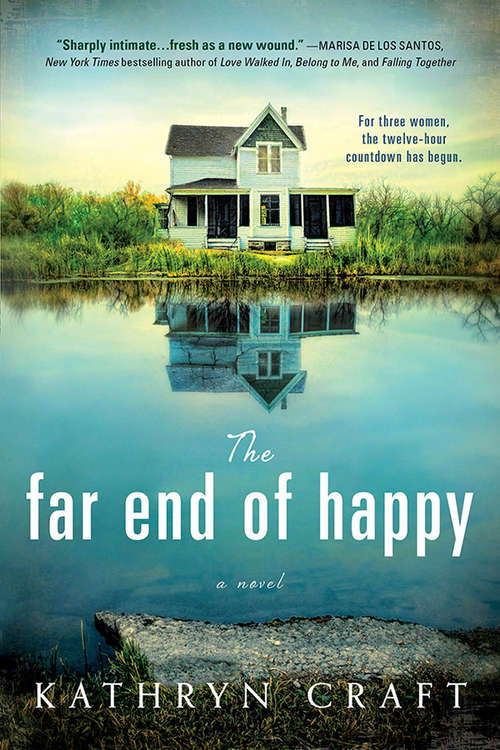 Book cover of The Far End of Happy