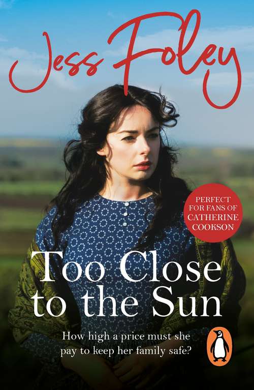Book cover of Too Close To The Sun: the passionate and uplifting saga of an orphan’s struggle to forge a better life for herself