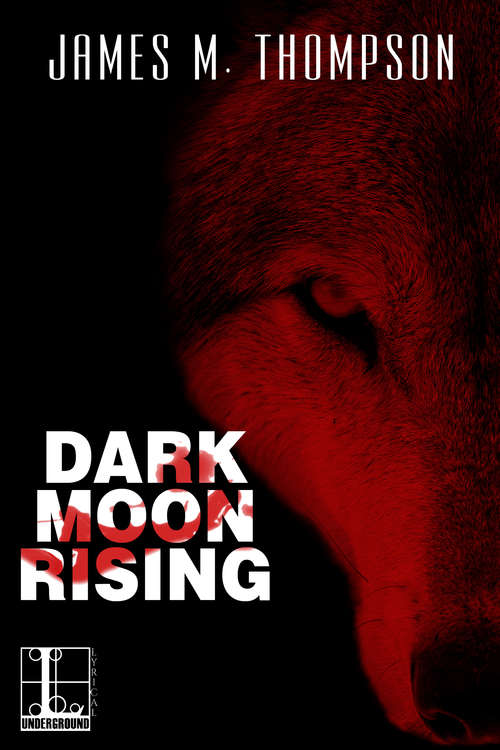 Book cover of Dark Moon Rising
