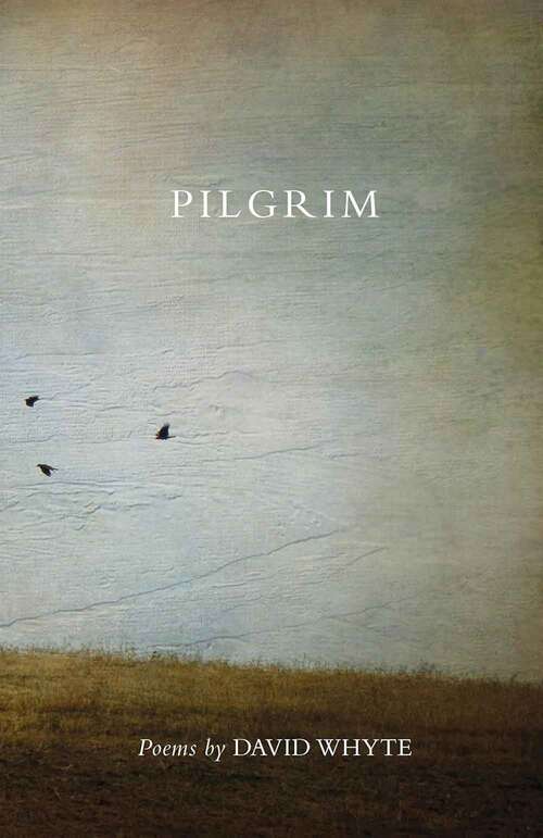 Book cover of Pilgrim (Second Edition)