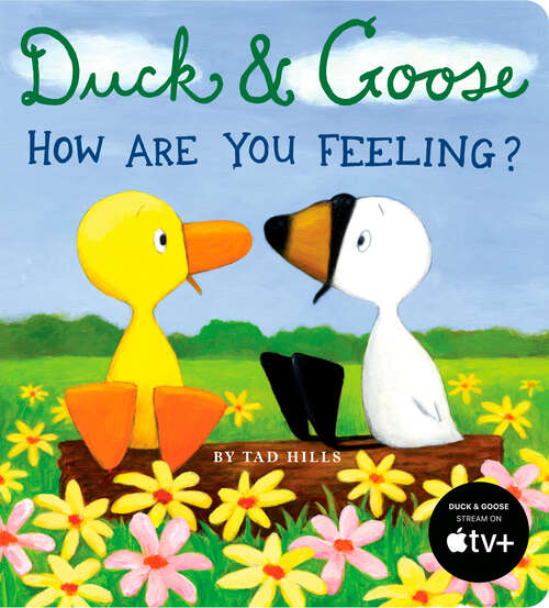 Book cover of Duck & Goose, How Are You Feeling?