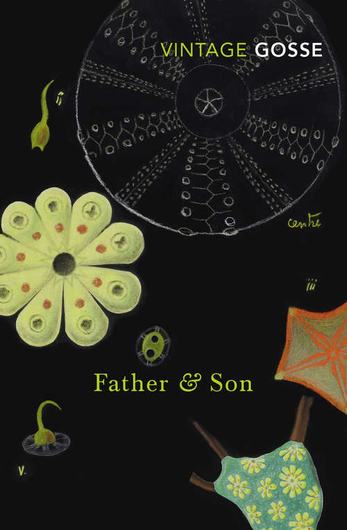 Book cover of Father and Son: A Study Of Two Temperaments