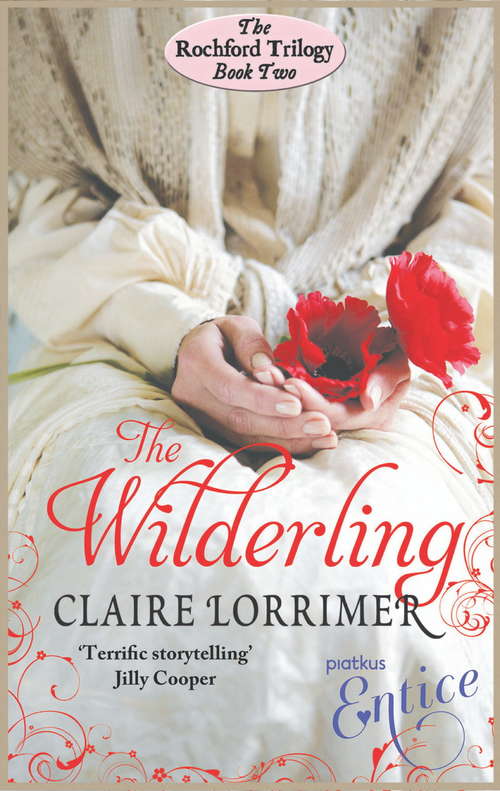 Book cover of The Wilderling