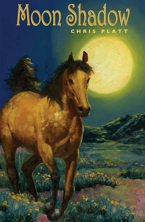 Book cover of Moon Shadow (Digital Original)