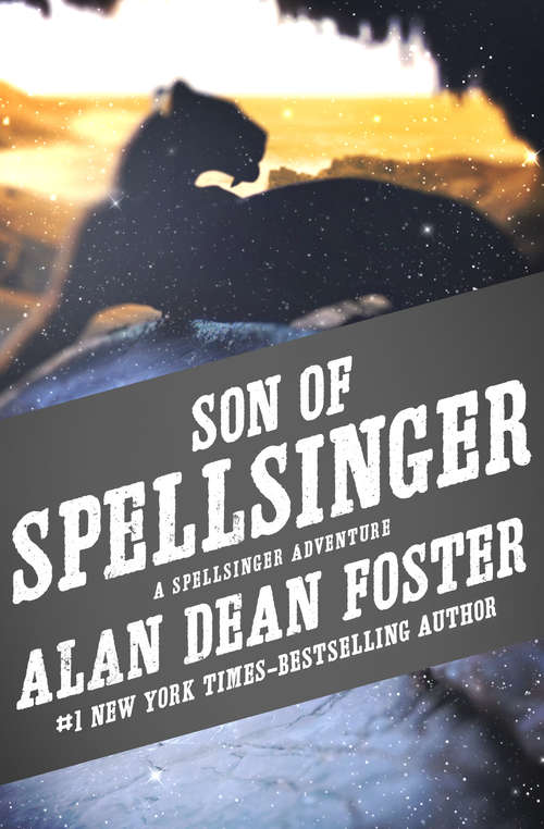 Book cover of Son of Spellsinger
