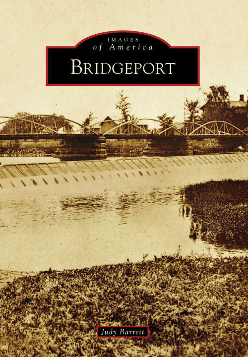 Book cover of Bridgeport