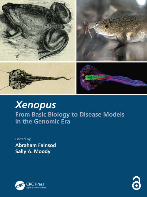 Book cover of Xenopus: From Basic Biology to Disease Models in the Genomic Era