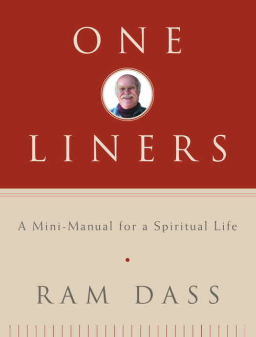 Book cover of One-Liners