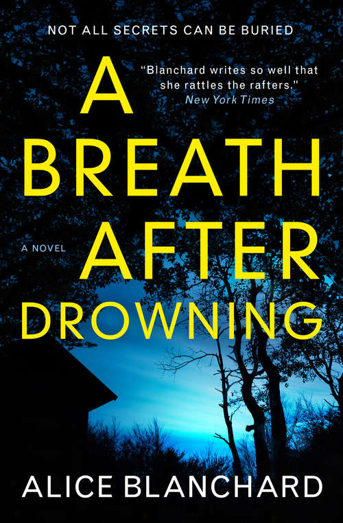 Book cover of A Breath After Drowning