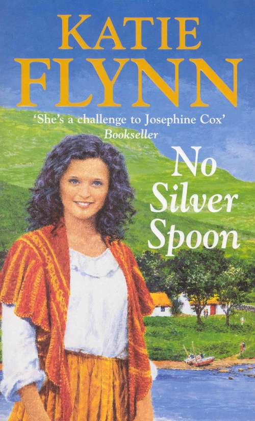 Book cover of No Silver Spoon