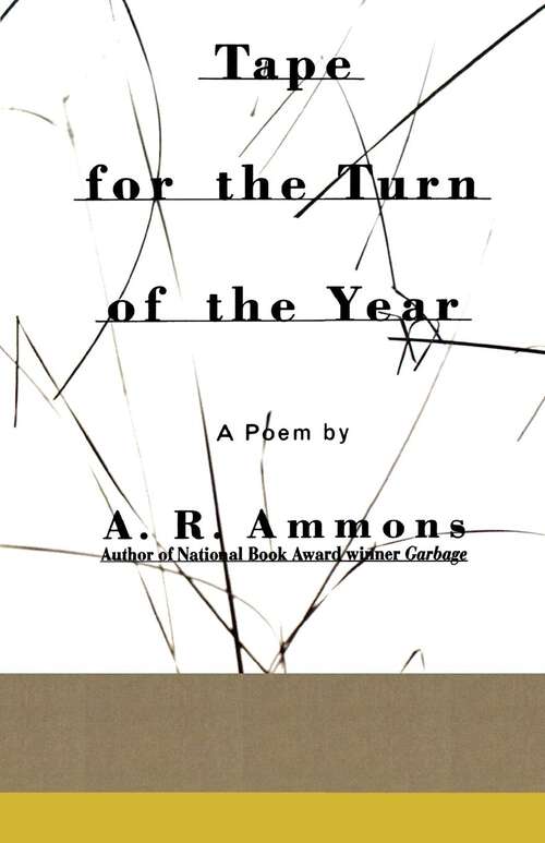 Book cover of Tape for the Turn of the Year