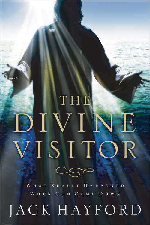 Book cover of The Divine Visitor: What Really Happened When God Came Down