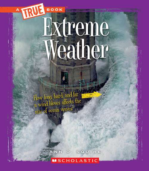 Book cover of Extreme Weather (True Books)