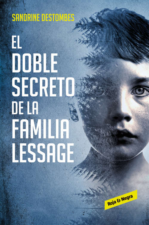 Book cover of El doble secreto de la familia Lessage