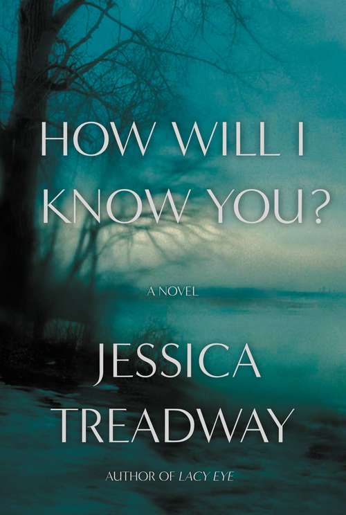 Book cover of How Will I Know You?: A Novel