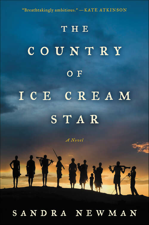 Book cover of The Country of Ice Cream Star: A Novel