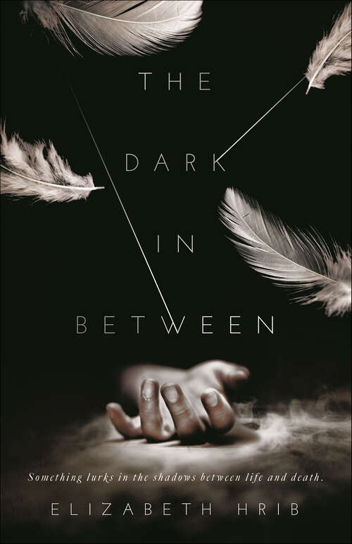 Book cover of The Dark In Between