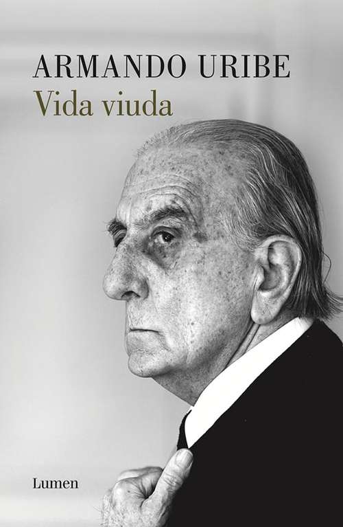 Book cover of Vida viuda
