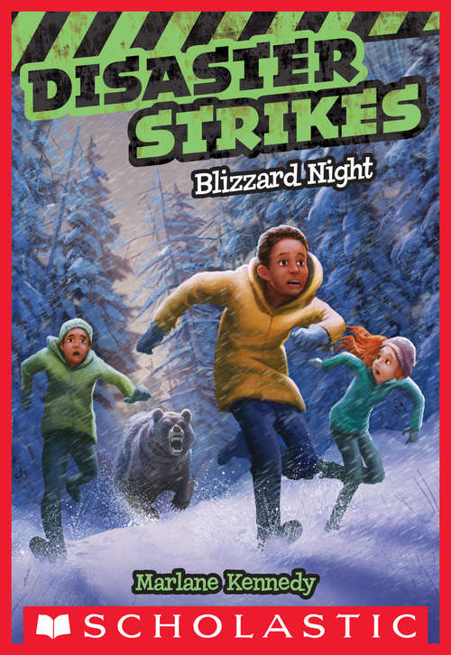 Book cover of Disaster Strikes #3: Blizzard Night