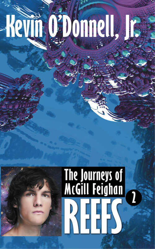 Book cover of Reefs (The Journeys of McGill Feighan)