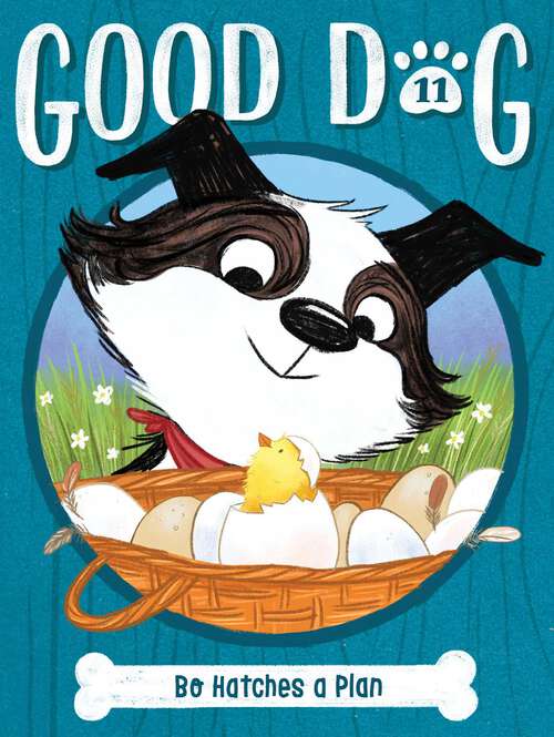 Book cover of Bo Hatches a Plan (Good Dog #11)