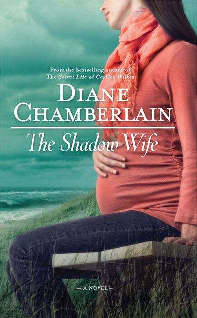 Book cover of The Shadow Wife