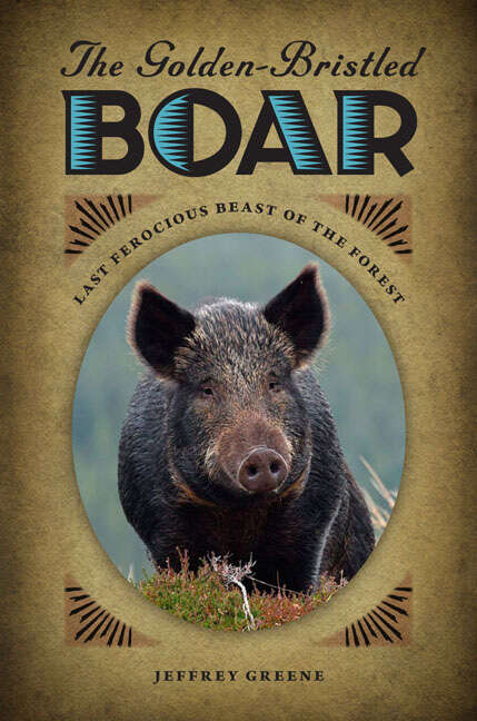Book cover of The Golden-Bristled Boar: Last Ferocious Beast of the Forest