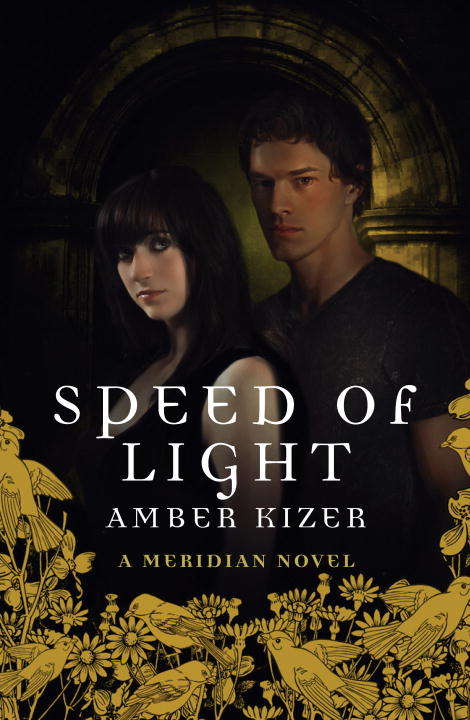 Book cover of Speed of Light