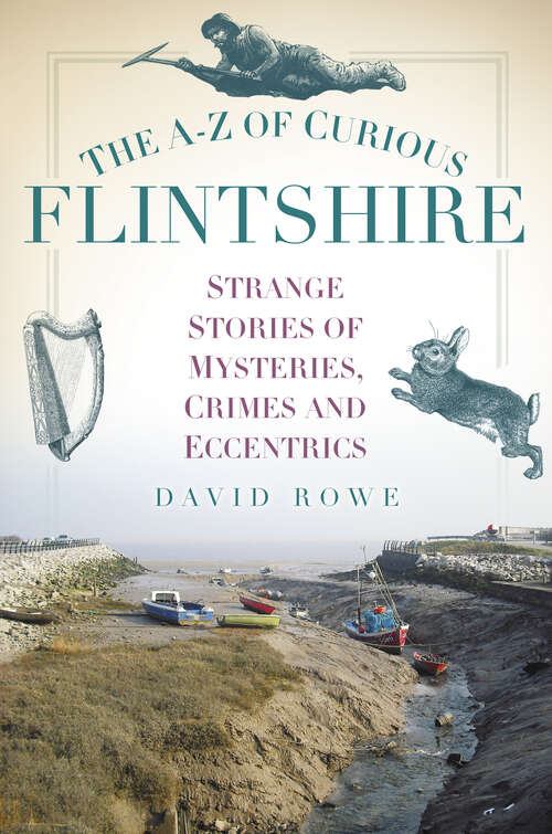 Book cover of The A-Z of Curious Flintshire: Strange Stories of Mysteries, Crimes and Eccentrics