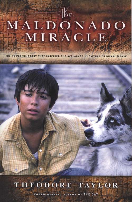 Book cover of The Maldonado Miracle
