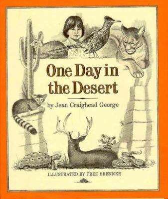 Book cover of One Day in the Desert