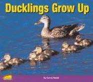 Book cover of Ducklings Grow Up