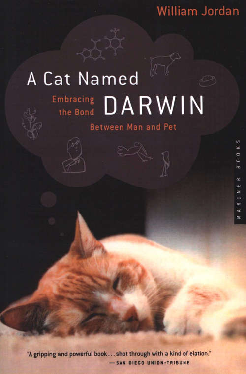 Book cover of A Cat Named Darwin: Embracing the Bond Between Man and Pet