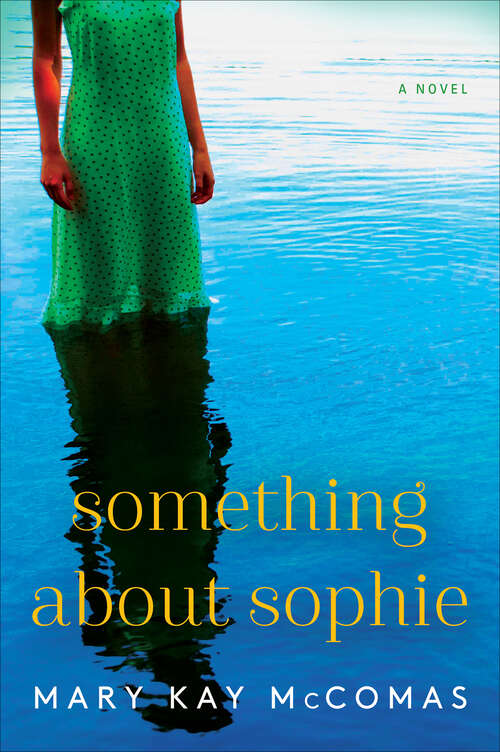 Book cover of Something About Sophie: A Novel