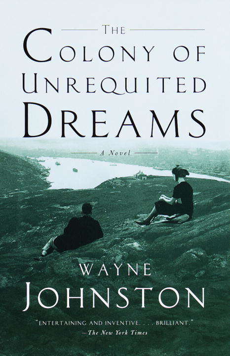 Book cover of The Colony of Unrequited Dreams