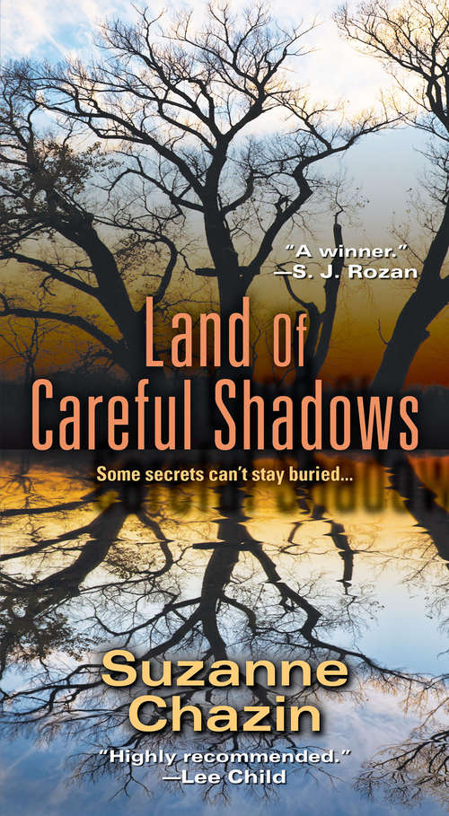 Book cover of Land of Careful Shadows: A Jimmy Vega Mystery (A Jimmy Vega Mystery #1)