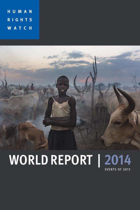 Book cover of World Report 2013