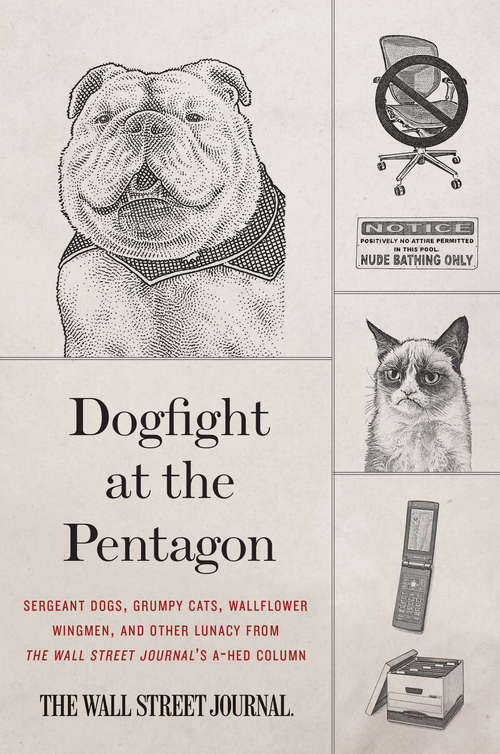 Book cover of Dogfight at the Pentagon