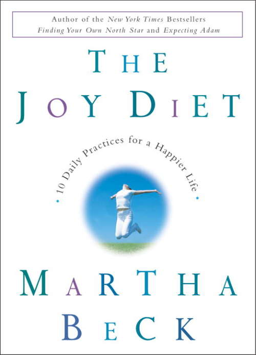 Book cover of The Joy Diet