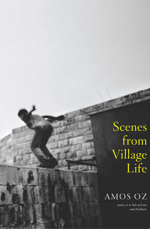 Book cover of Scenes from Village Life