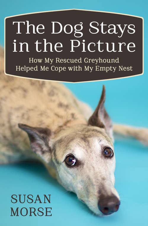 Book cover of The Dog Stays in the Picture: How My Rescued Greyhound Helped Me Cope with My Empty Nest