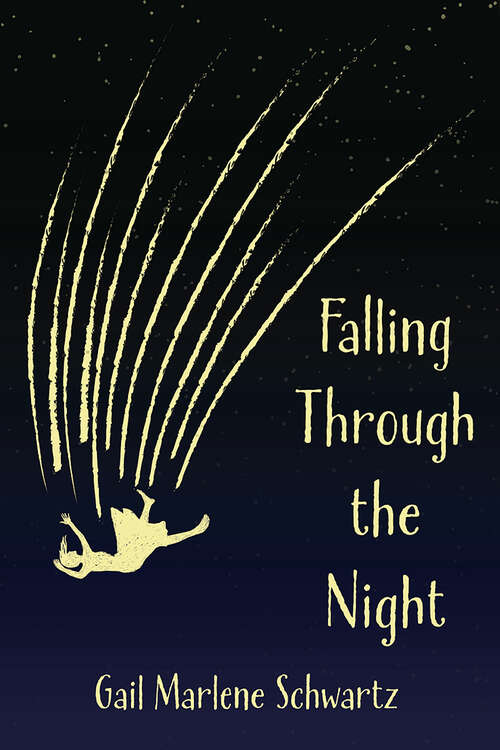 Book cover of Falling Through the Night by Gail Marlene Schwartz