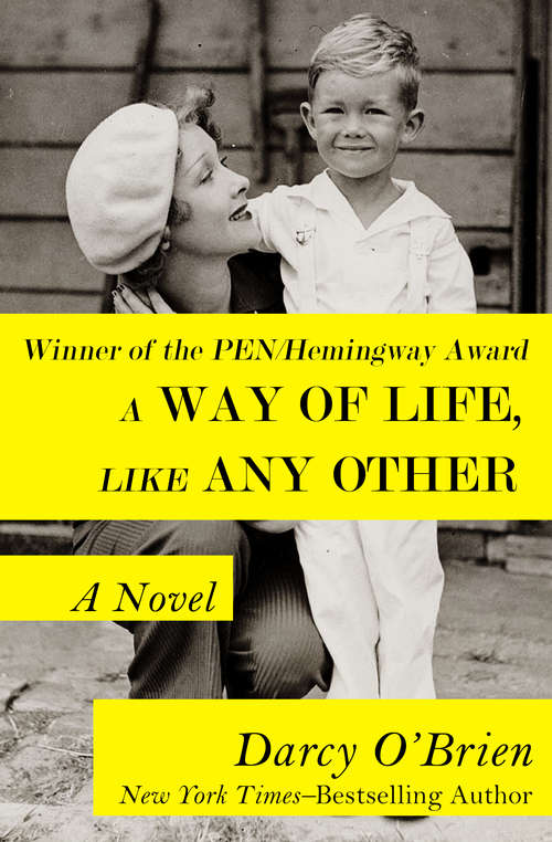 Book cover of A Way of Life, Like Any Other: A Novel