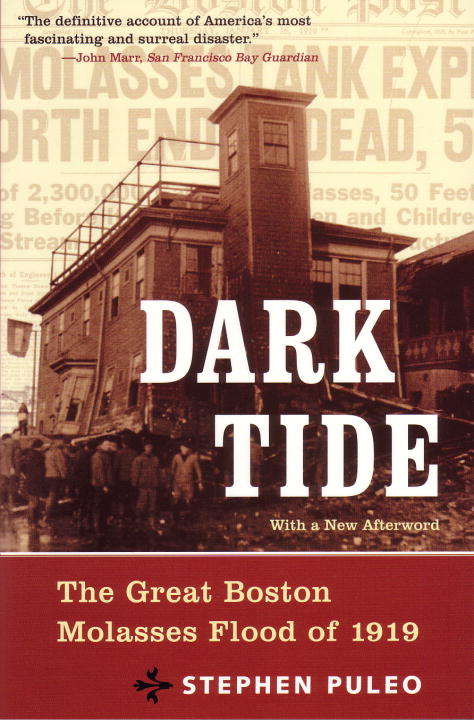 Book cover of Dark Tide: The Great Boston Molasses Flood of 1919