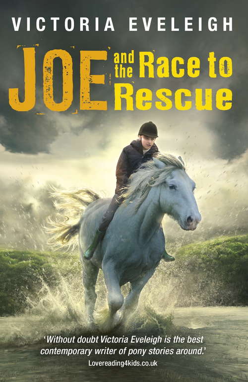 Book cover of Joe and the Race to Rescue: A Boy And His Horses