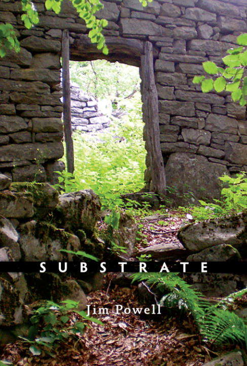 Substrate: Poems